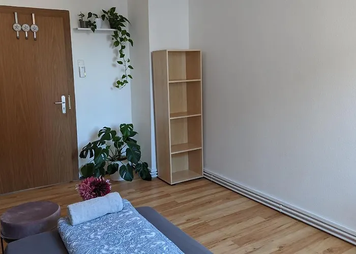 Single Room Near The Black Forest